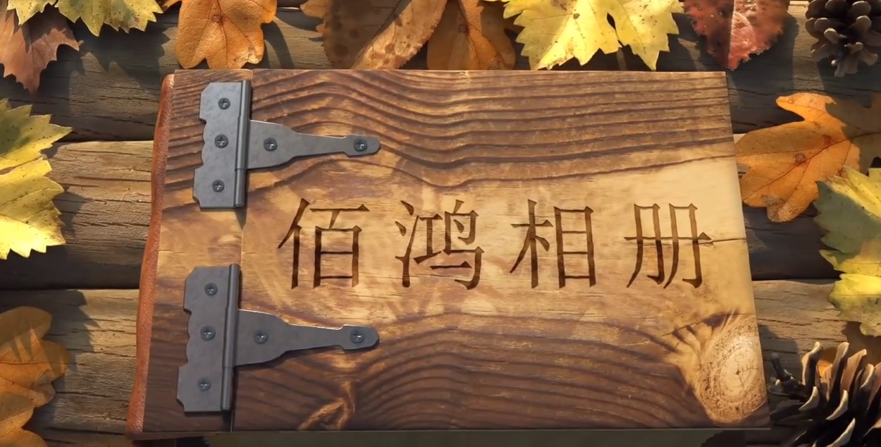 2023-04 九年，從破土而出到碩果累累，從深耕再生醫(yī)學(xué)，到擁有多項(xiàng)技術(shù)專(zhuān)利，從術(shù)業(yè)專(zhuān)攻，到涉獵三大領(lǐng)域九年，時(shí)間長(zhǎng)河里的滄海一粟對(duì)于我們卻是3千多日日夜夜未來(lái)，我們有更多鴻圖…